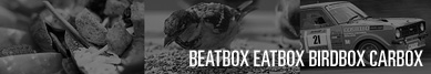 Michał Górczyński Beatbox, eatbox, birdbox, carbox