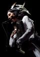 PJ Harvey [fot. Piotr Lewandowski]