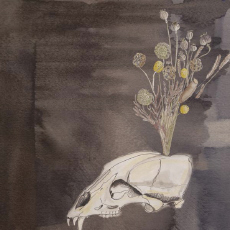 Steve Gunn & The Black Twig Pickers  Seasonal Hire