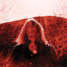 Ty Segall Manipulator