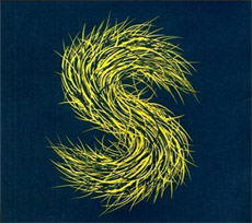 STRINGS OF CONSCIOUSNESS Our Moon Is Full