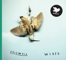 CAKEWALK Wired