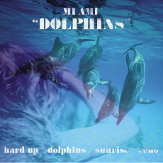 Mi Ami Dolphins