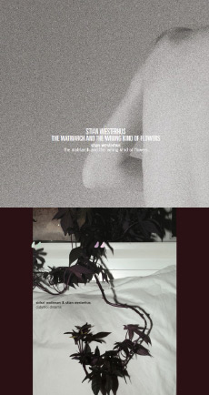 STIAN WESTERHUS / SIDSEL ENDRESEN & STIAN WESTERHUS The Matriarch And The Wrong Kind Of Flowers / Didymoi Dreams