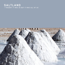Saltland I Thought It Was Us But It Was All Of Us